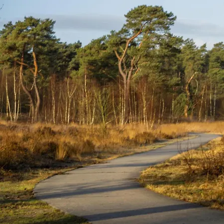 Zwarte Mees Feriehus *