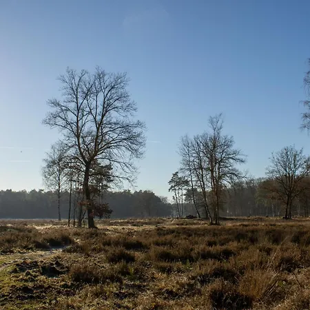 Tiny House Zwarte Mees * Hulshorst