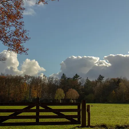 Zwarte Mees Hulshorst