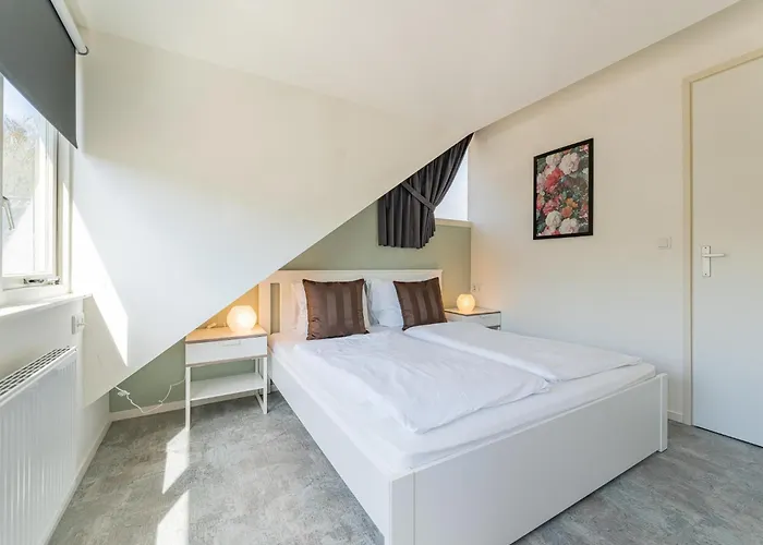 Zwarte Mees * Hulshorst