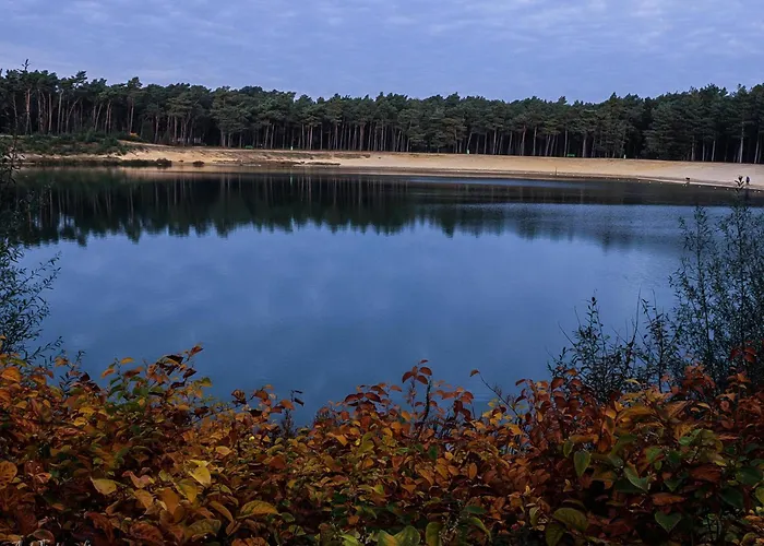 Zwarte Mees Сasa de vacaciones Hulshorst