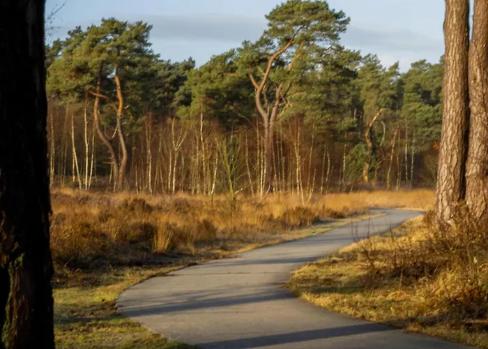 Zwarte Mees Дом отдыха *