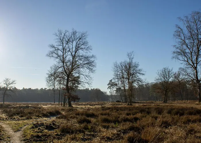 Zwarte Mees * Хульсхорст