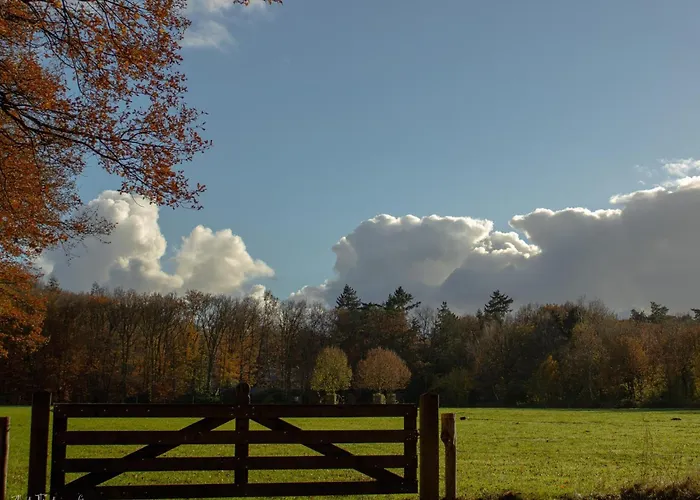 Zwarte Mees Хульсхорст